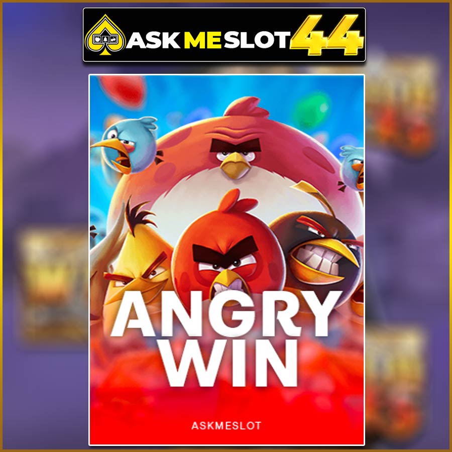 ANGRY WIN